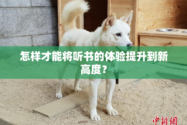 怎样才能将听书的体验提升到新高度？