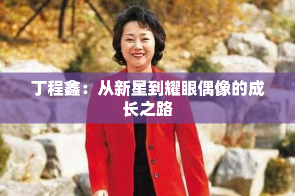 丁程鑫：从新星到耀眼偶像的成长之路