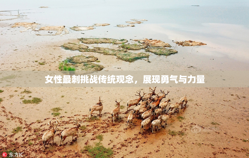 女性最刺挑战传统观念，展现勇气与力量