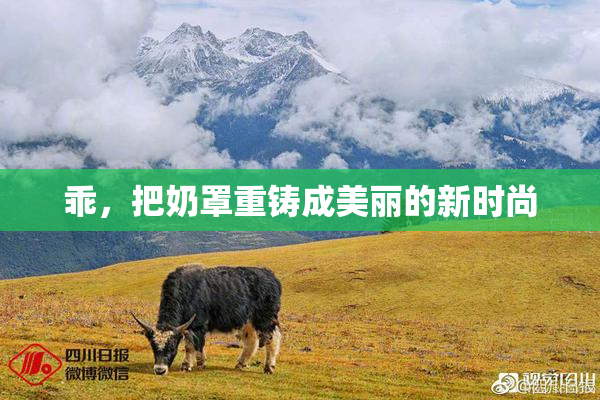 乖，把奶罩重铸成美丽的新时尚