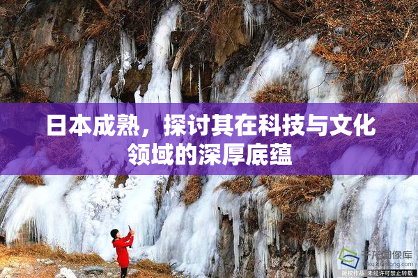 日本成熟，探讨其在科技与文化领域的深厚底蕴
