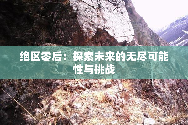 绝区零后：探索未来的无尽可能性与挑战