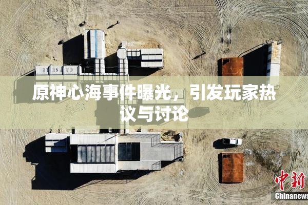 原神心海事件曝光，引发玩家热议与讨论