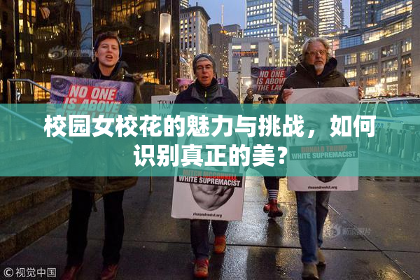 校园女校花的魅力与挑战，如何识别真正的美？