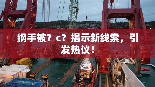 纲手被？c？揭示新线索，引发热议！