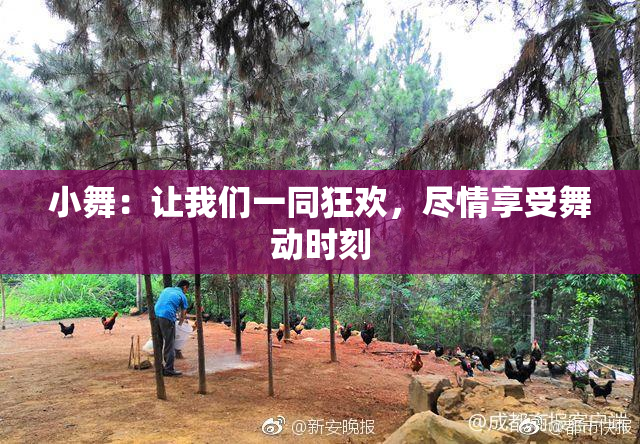 小舞：让我们一同狂欢，尽情享受舞动时刻