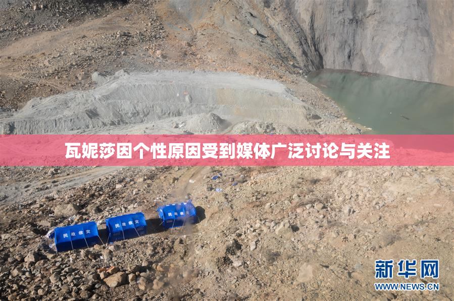 瓦妮莎因个性原因受到媒体广泛讨论与关注