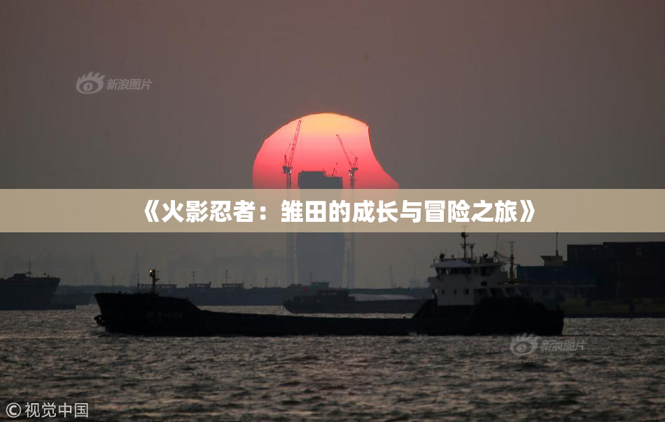 《火影忍者：雏田的成长与冒险之旅》