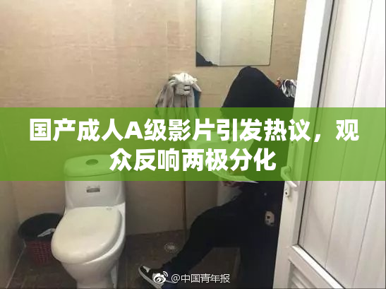国产成人A级影片引发热议，观众反响两极分化