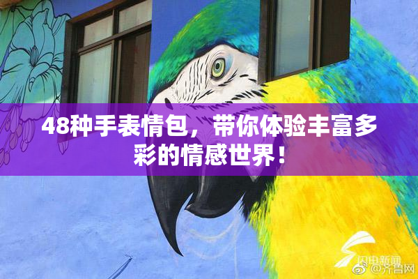 48种手表情包，带你体验丰富多彩的情感世界！