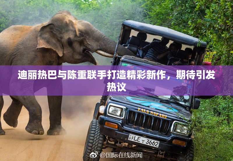 迪丽热巴与陈重联手打造精彩新作，期待引发热议