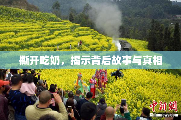 撕开吃奶，揭示背后故事与真相