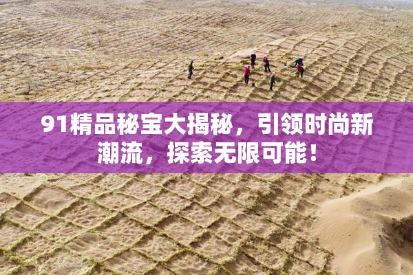 91精品秘宝大揭秘，引领时尚新潮流，探索无限可能！