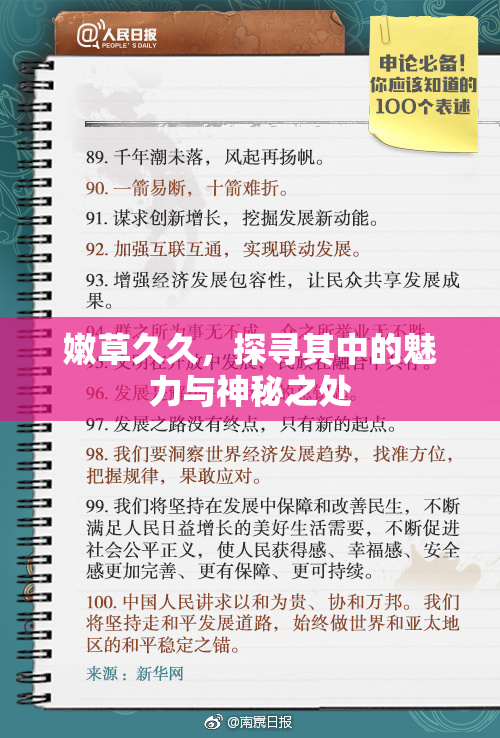 嫩草久久，探寻其中的魅力与神秘之处