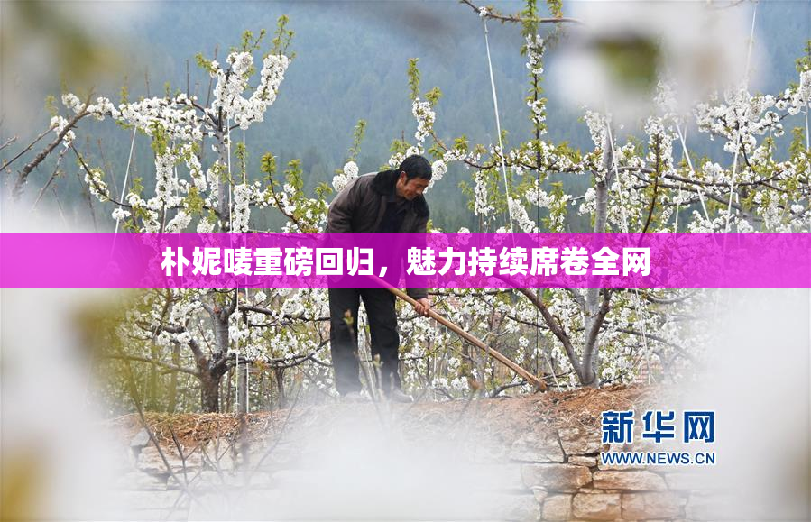 朴妮唛重磅回归，魅力持续席卷全网