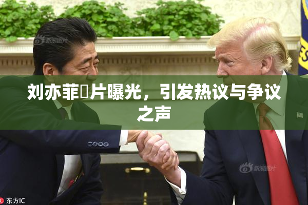 刘亦菲婬片曝光，引发热议与争议之声