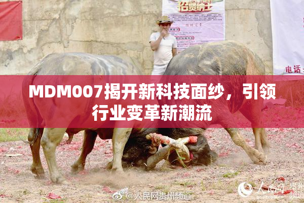 MDM007揭开新科技面纱，引领行业变革新潮流