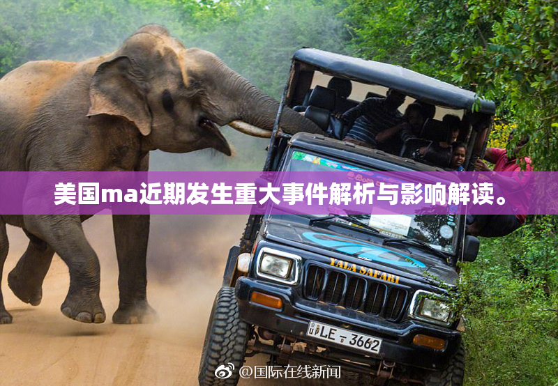 美国ma近期发生重大事件解析与影响解读。