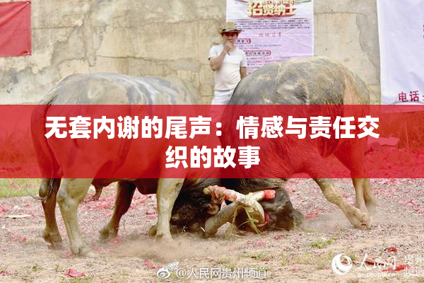 无套内谢的尾声：情感与责任交织的故事