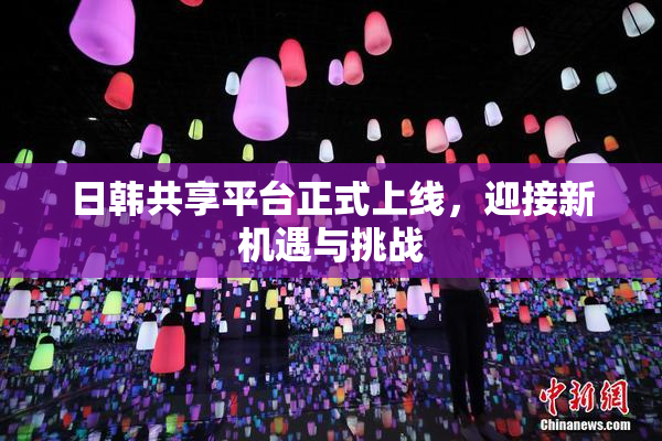 日韩共享平台正式上线，迎接新机遇与挑战