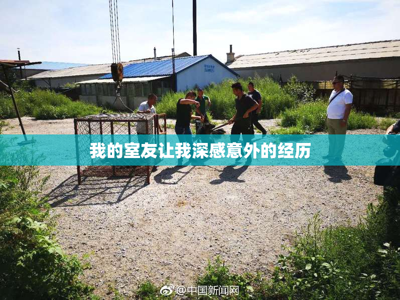 我的室友让我深感意外的经历