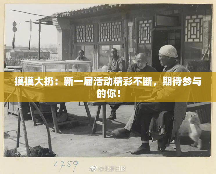 摸摸大扔：新一届活动精彩不断，期待参与的你！