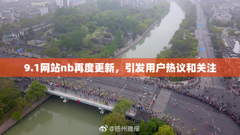 9.1网站nb再度更新，引发用户热议和关注