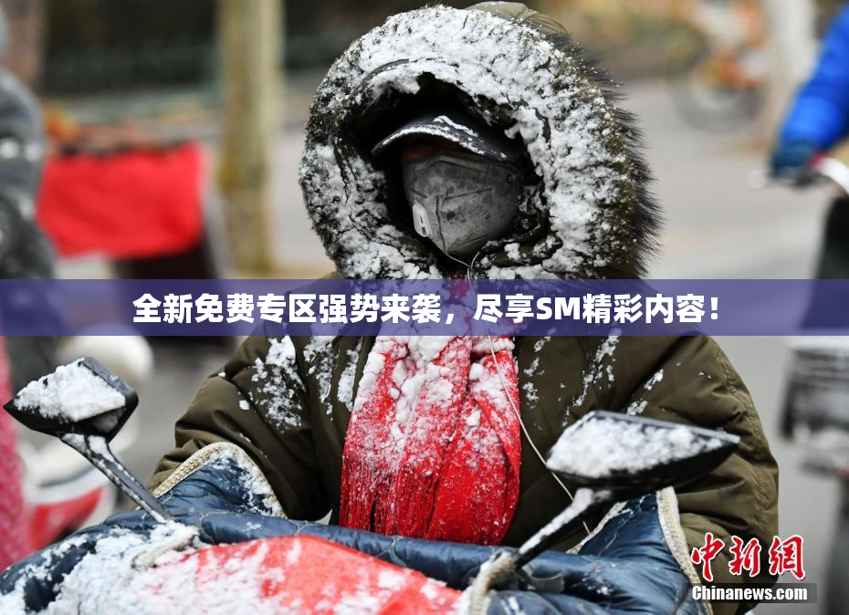 全新免费专区强势来袭，尽享SM精彩内容！