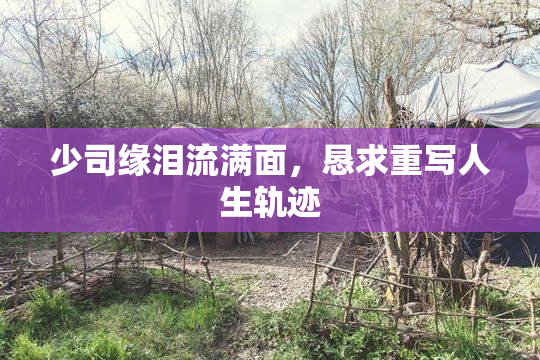 少司缘泪流满面，恳求重写人生轨迹
