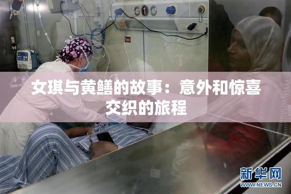 女琪与黄鳝的故事：意外和惊喜交织的旅程
