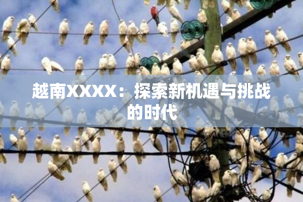 越南XXXX：探索新机遇与挑战的时代