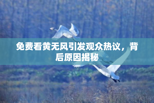免费看黄无风引发观众热议，背后原因揭秘