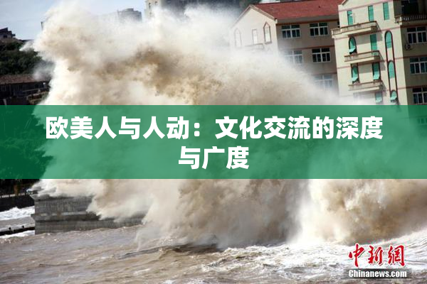 欧美人与人动：文化交流的深度与广度