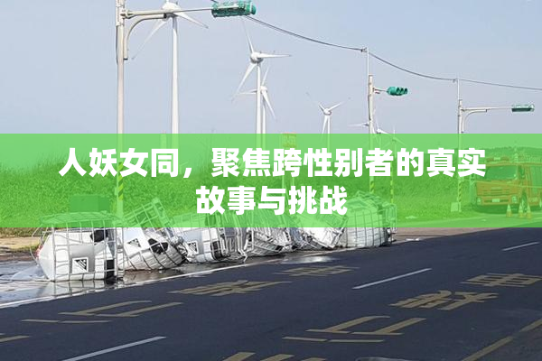人妖女同，聚焦跨性别者的真实故事与挑战