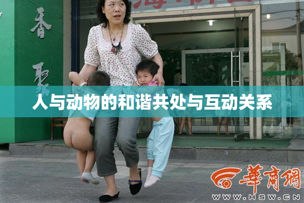 人与动物的和谐共处与互动关系