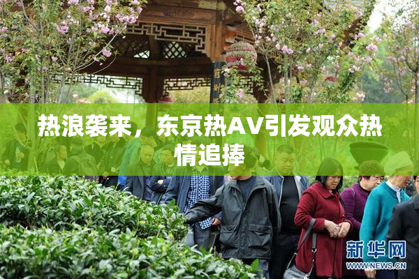 热浪袭来，东京热AV引发观众热情追捧