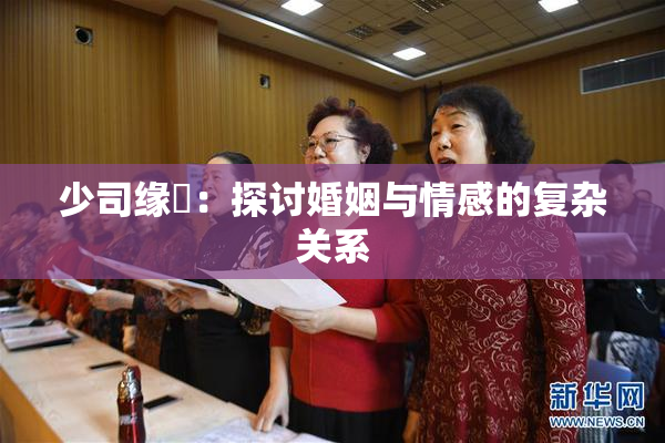 少司缘婬：探讨婚姻与情感的复杂关系