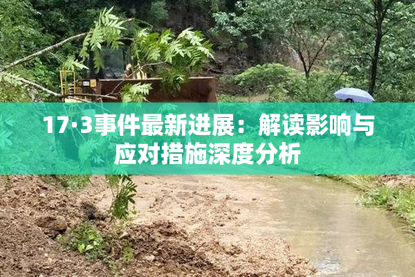 17·3事件最新进展：解读影响与应对措施深度分析