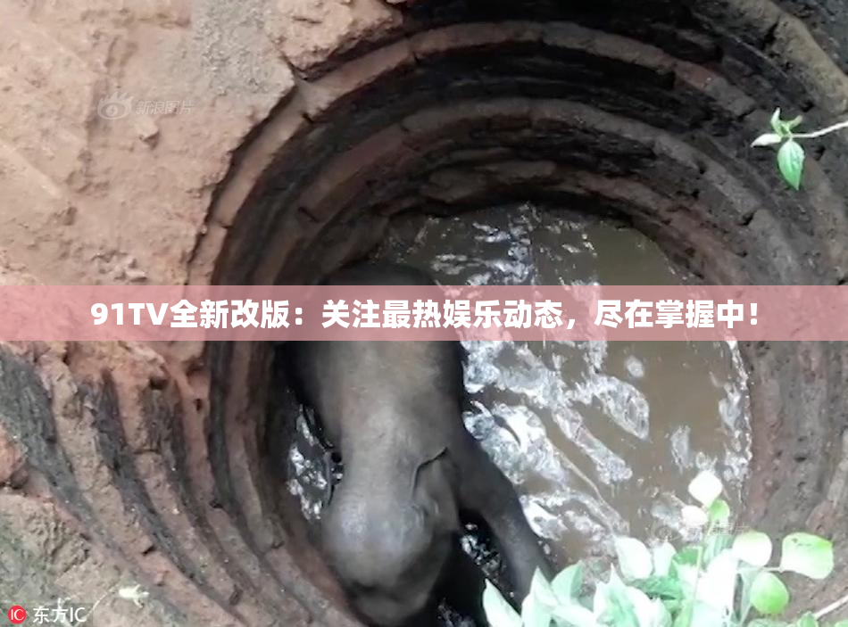 91TV全新改版：关注最热娱乐动态，尽在掌握中！
