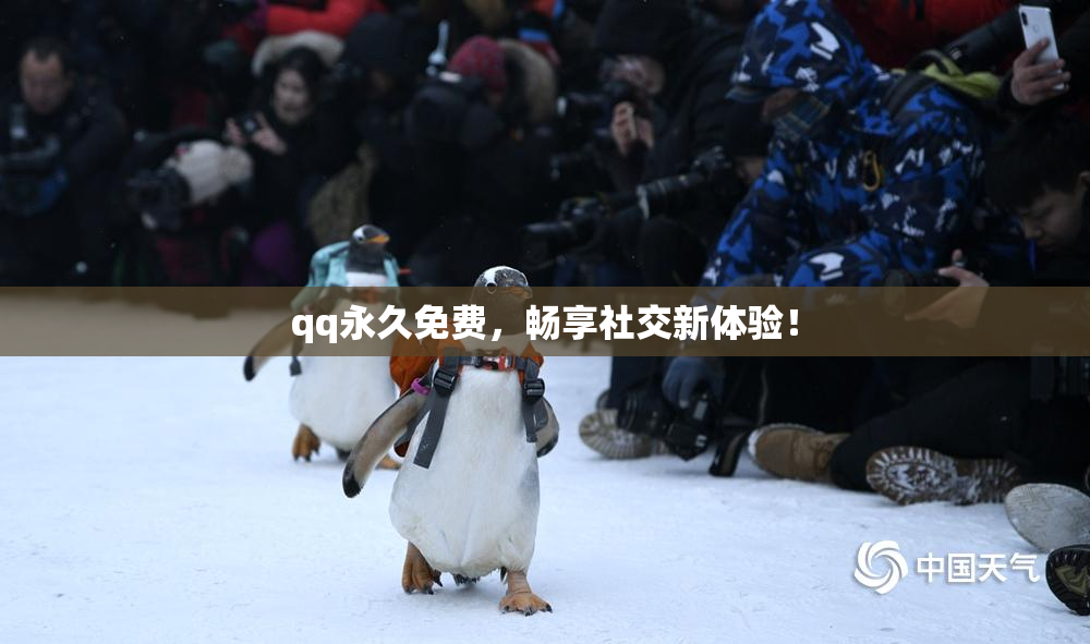 qq永久免费，畅享社交新体验！
