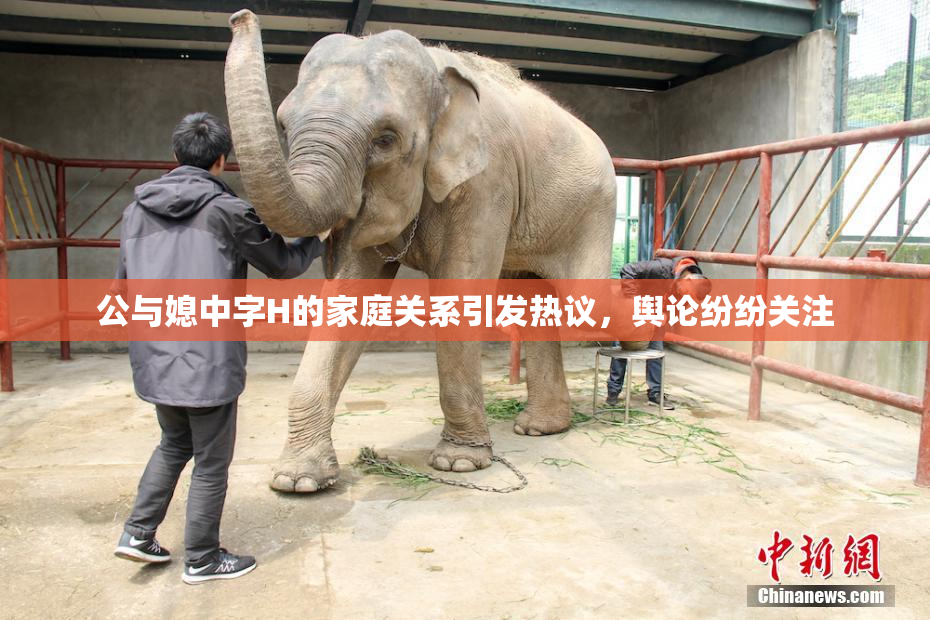 公与媳中字H的家庭关系引发热议，舆论纷纷关注
