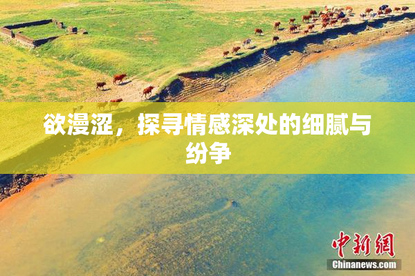 欲漫涩，探寻情感深处的细腻与纷争