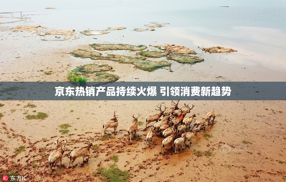 京东热销产品持续火爆 引领消费新趋势