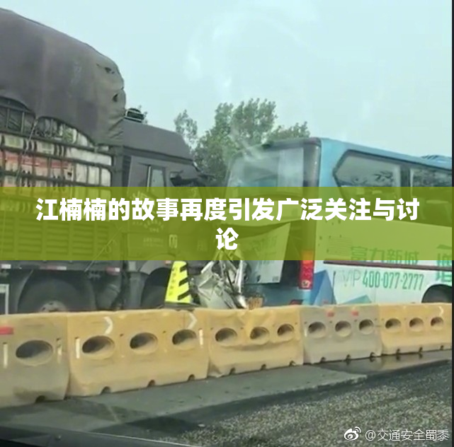 江楠楠的故事再度引发广泛关注与讨论