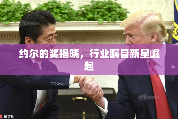 约尔的奖揭晓，行业瞩目新星崛起
