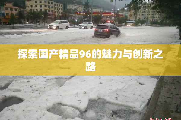 探索国产精品96的魅力与创新之路