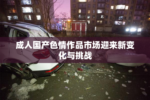 成人国产色情作品市场迎来新变化与挑战