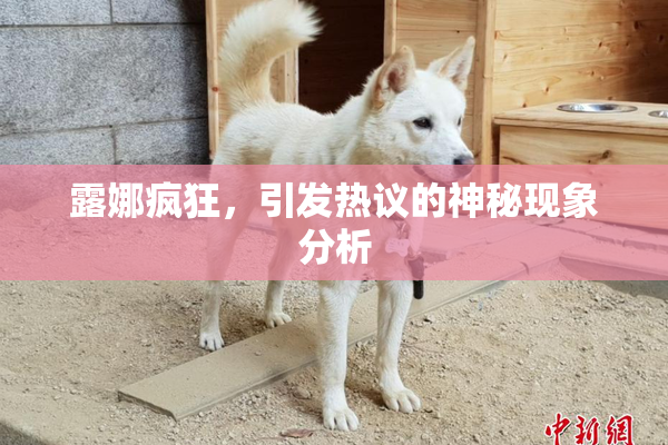 露娜疯狂，引发热议的神秘现象分析