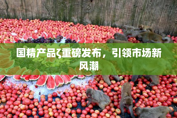 国精产品ζ重磅发布，引领市场新风潮