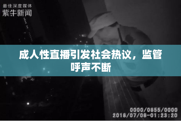 成人性直播引发社会热议，监管呼声不断
